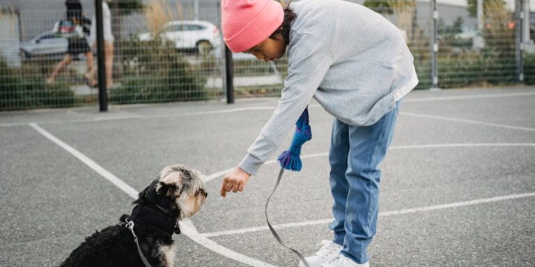 Personne dresse un chien